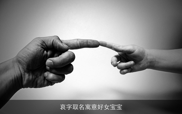 哀字取名寓意好女宝宝