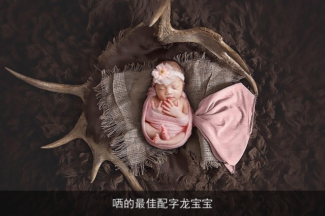 哂的最佳配字龙宝宝