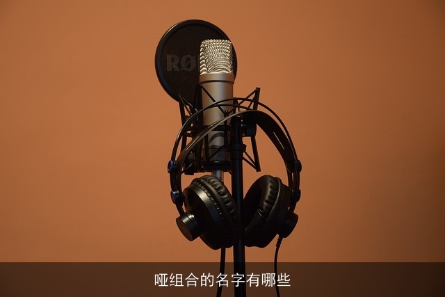 哑组合的名字有哪些