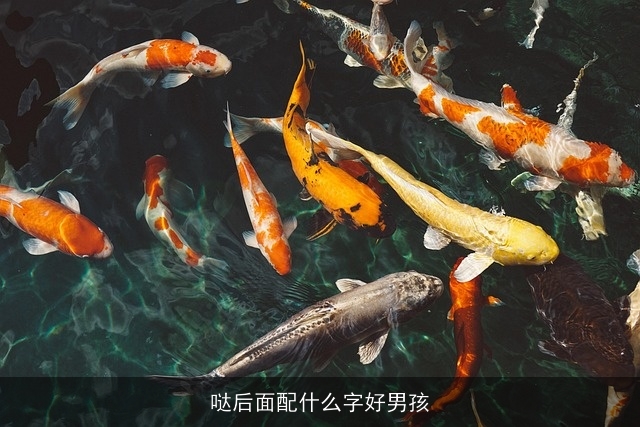哒后面配什么字好男孩