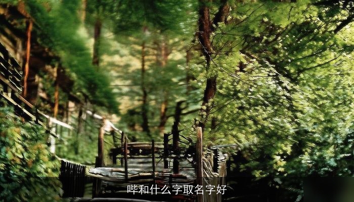 哔和什么字取名字好