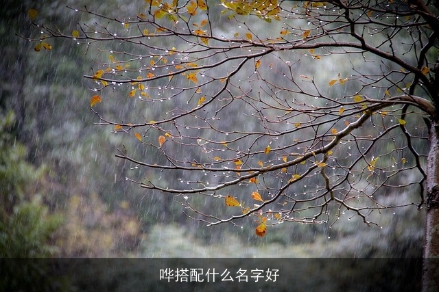 哗搭配什么名字好