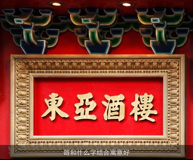 哿和什么字结合寓意好