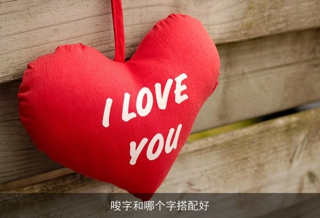 唆字和哪个字搭配好
