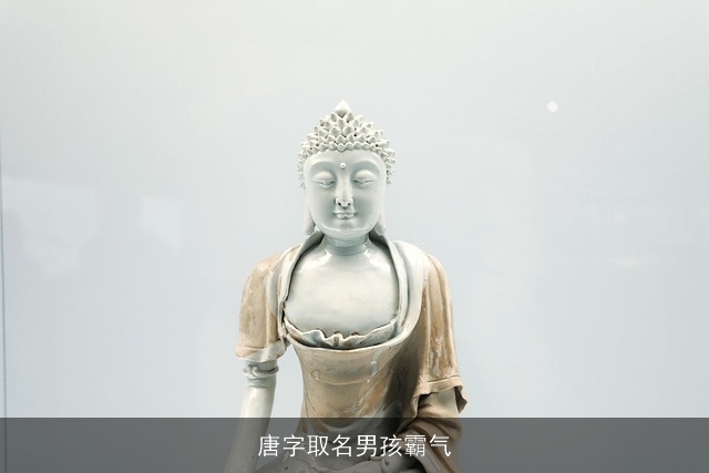 唐字取名男孩霸气