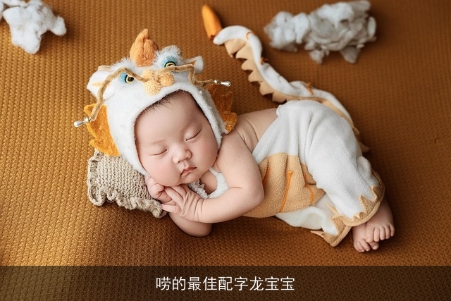 唠的最佳配字龙宝宝