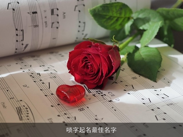唢字起名最佳名字