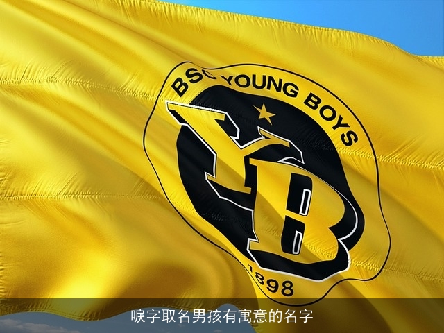 唳字取名男孩有寓意的名字