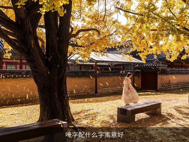 唵字配什么字寓意好