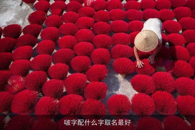 啵字配什么字取名最好