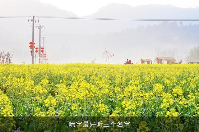 啼字最好听三个名字