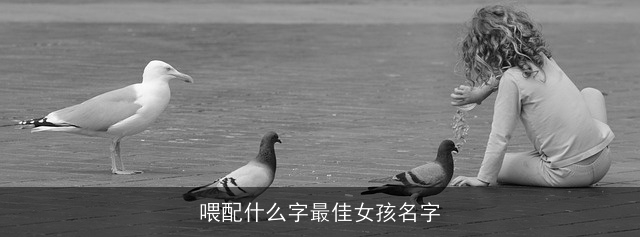 喂配什么字最佳女孩名字