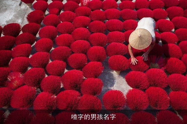 喳字的男孩名字
