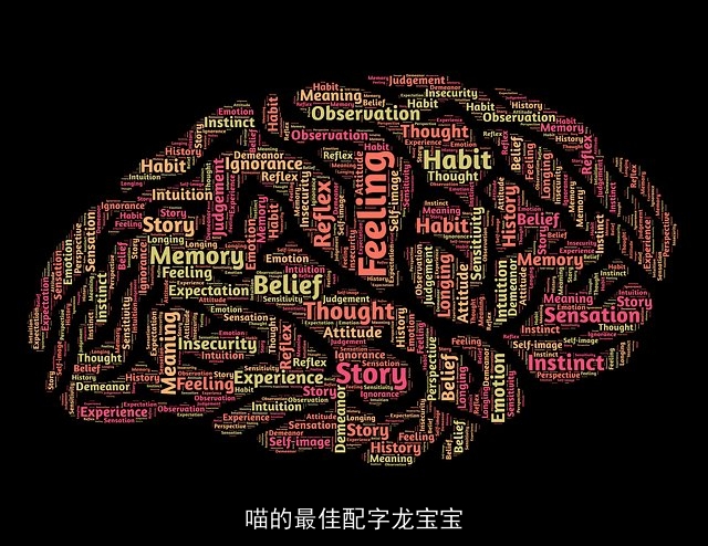 喵的最佳配字龙宝宝