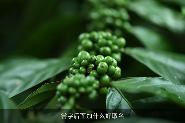 喾字后面加什么好取名