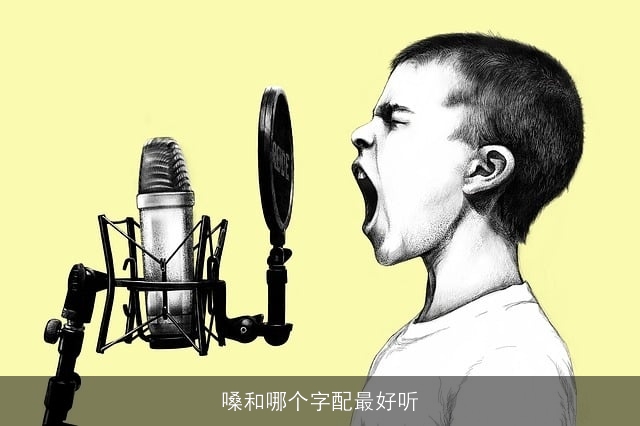 嗓和哪个字配最好听
