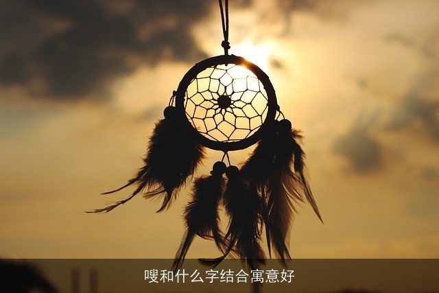 嗖和什么字结合寓意好