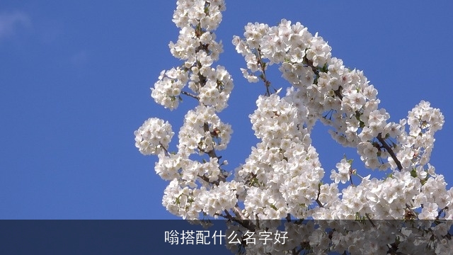 嗡搭配什么名字好