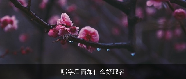 嗤字后面加什么好取名