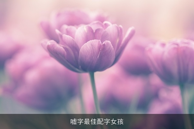嘘字最佳配字女孩