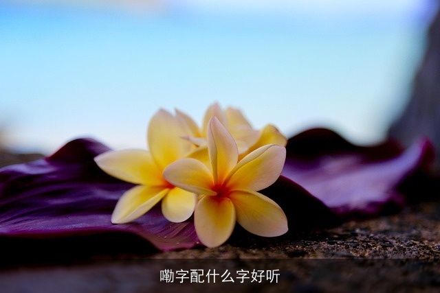 嘞字配什么字好听