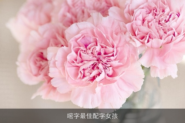 嘧字最佳配字女孩