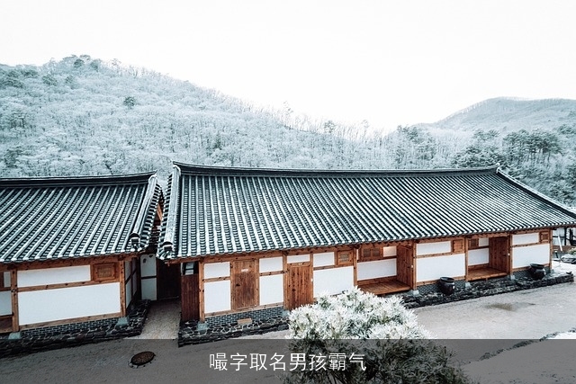 嘬字取名男孩霸气