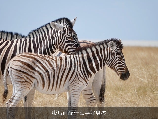 嘭后面配什么字好男孩