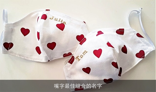 嘴字最佳组合的名字