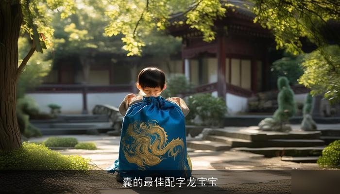 囊的最佳配字龙宝宝