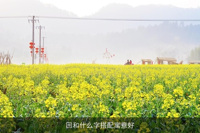 回和什么字搭配寓意好