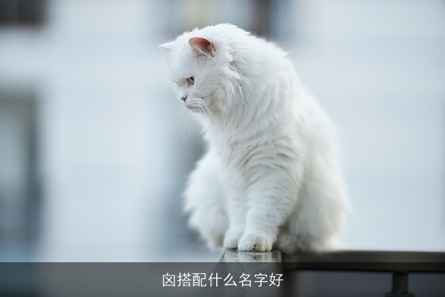 囟搭配什么名字好