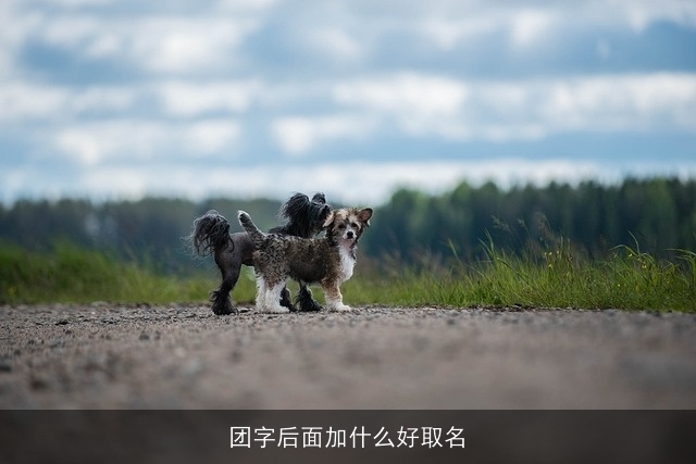 团字后面加什么好取名
