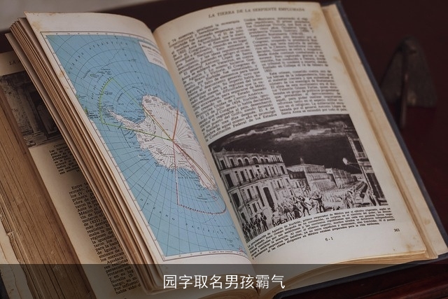 园字取名男孩霸气