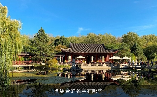 园组合的名字有哪些