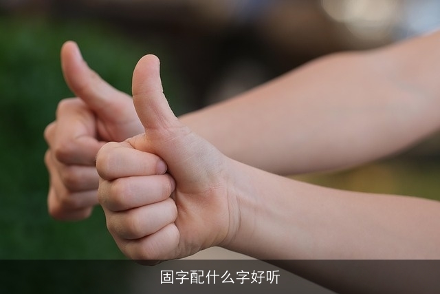 固字配什么字好听