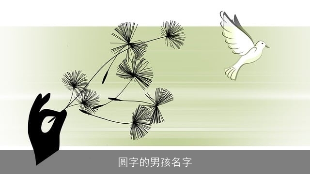圆字的男孩名字