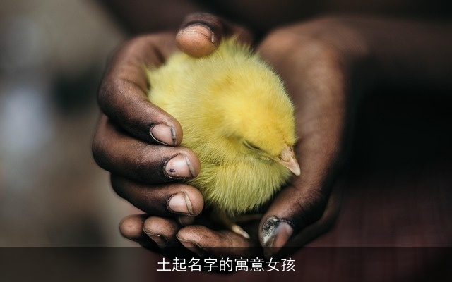 土起名字的寓意女孩
