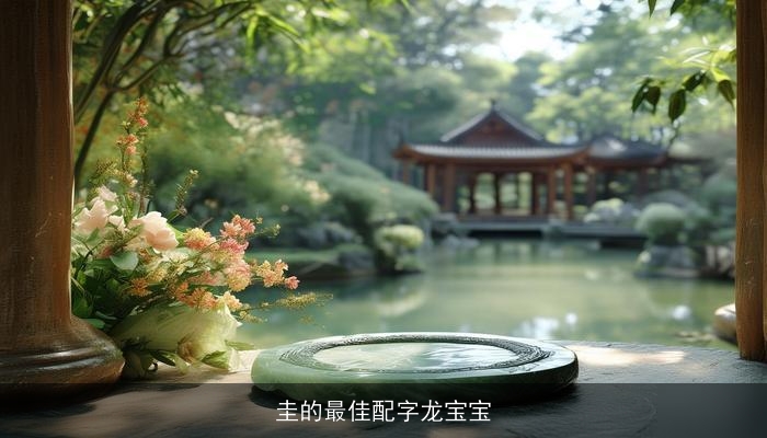 圭的最佳配字龙宝宝