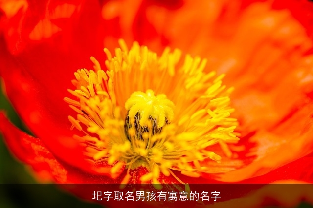 圯字取名男孩有寓意的名字