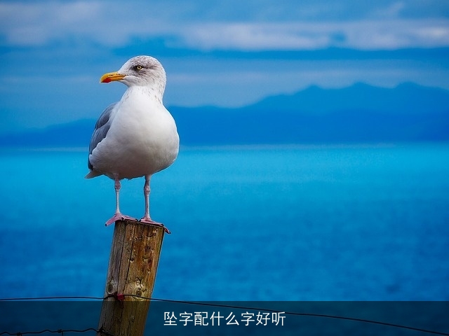 坠字配什么字好听