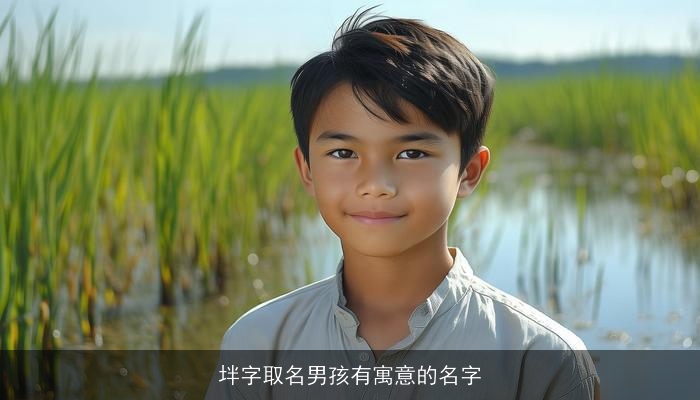 坢字取名男孩有寓意的名字