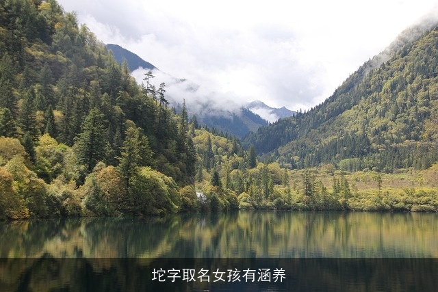 坨字取名女孩有涵养