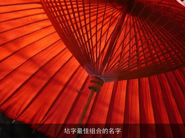 坫字最佳组合的名字