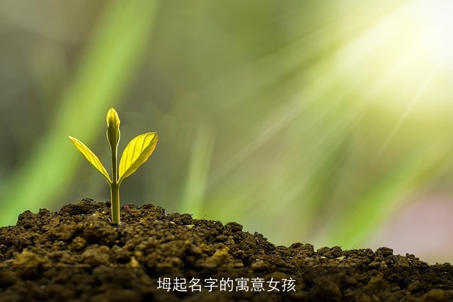 坶起名字的寓意女孩