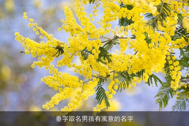 垂字取名男孩有寓意的名字
