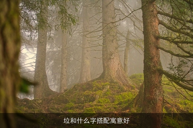 垃和什么字搭配寓意好
