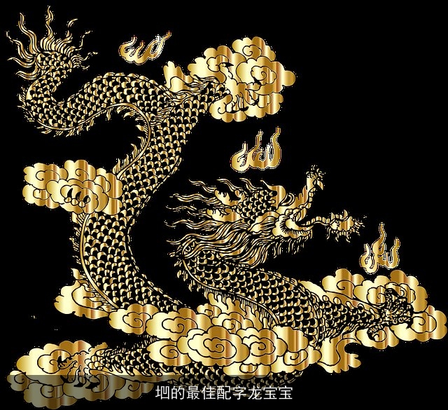 垇的最佳配字龙宝宝