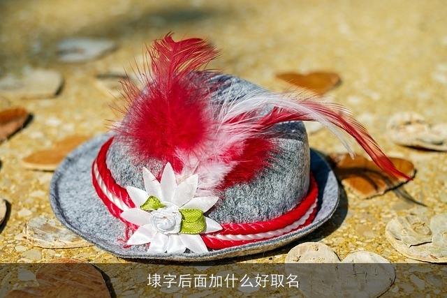 埭字后面加什么好取名
