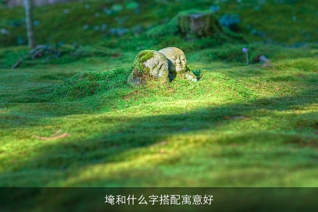 埯和什么字搭配寓意好